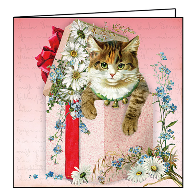 EG-345 ΤΕΤΡΑΓΩΝΗ ΕΥΧΕΤΗΡΙΑ ΚΑΡΤΑ ΟΥΔΕΤΕΡΗ ΜΕ ΓΚΛΙΝΤΕΡ & ΦΑΚΕΛΟ