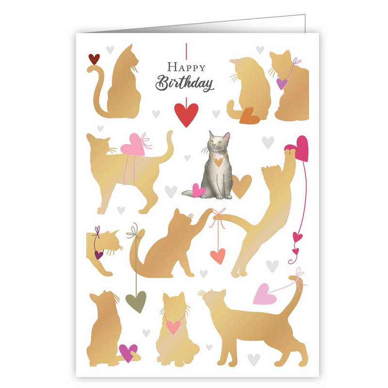 QU-3676 ΕΥΧΕΤΗΡΙΑ ΚΑΡΤΑ H/B ΜΕ ΦΑΚΕΛΟ